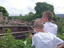 Edinburgh Zoo Rhinos