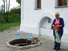 The monastery spring